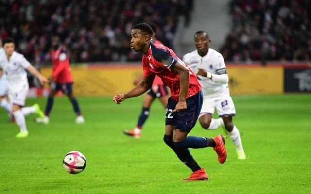 勇士体系与 勇士体系与