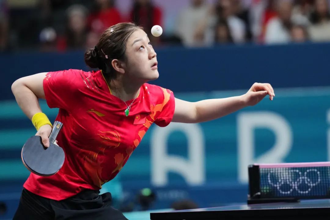 球迷提供了 球迷提供了